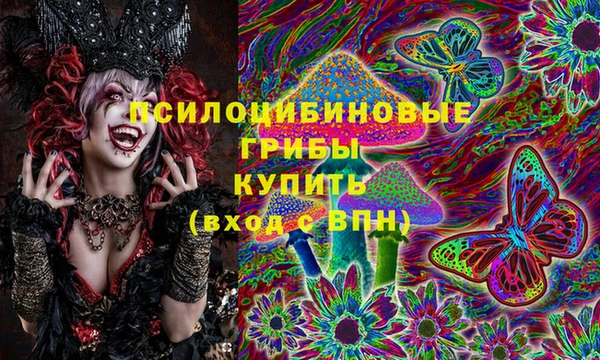 дурь Белокуриха