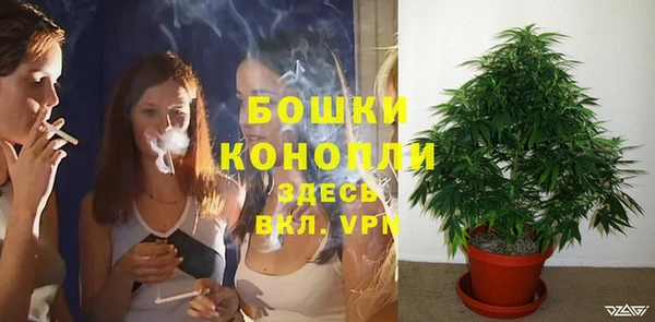 дурь Белокуриха
