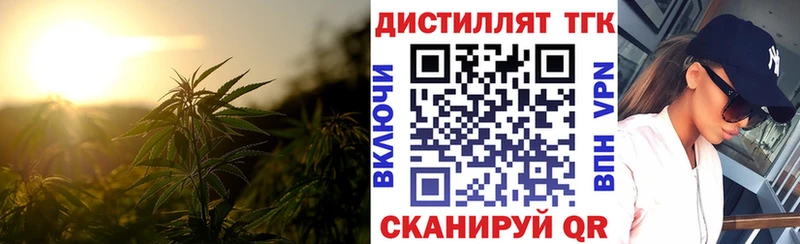 дарнет шоп  Тутаев  ТГК жижа 