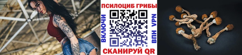 Псилоцибиновые грибы прущие грибы  как найти наркотики  Тутаев 